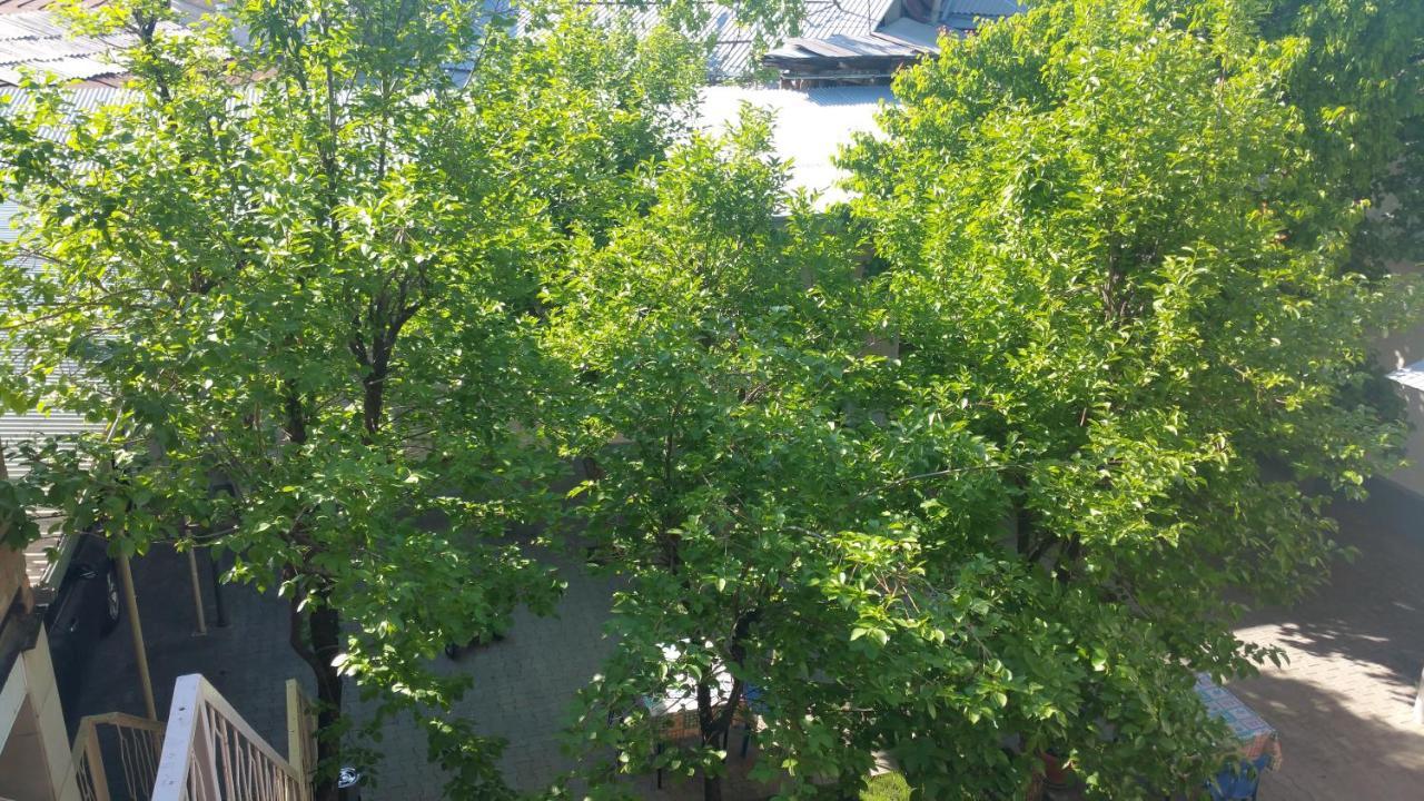 Gulnara Guesthouse Taschkent Exterior foto